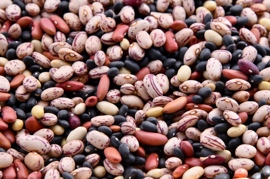 Hülsenfrüchte spielen eine wichtige Rolle in der veganen Kinderernährung.