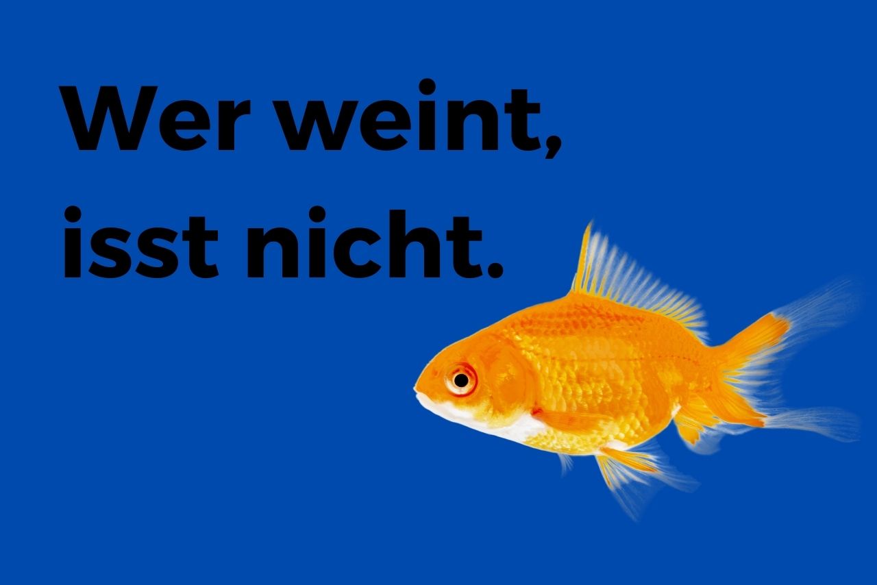 "Wer weint, isst nicht." Goldfisch auf blauem Grund.