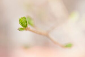 Minimalismus ist riskant